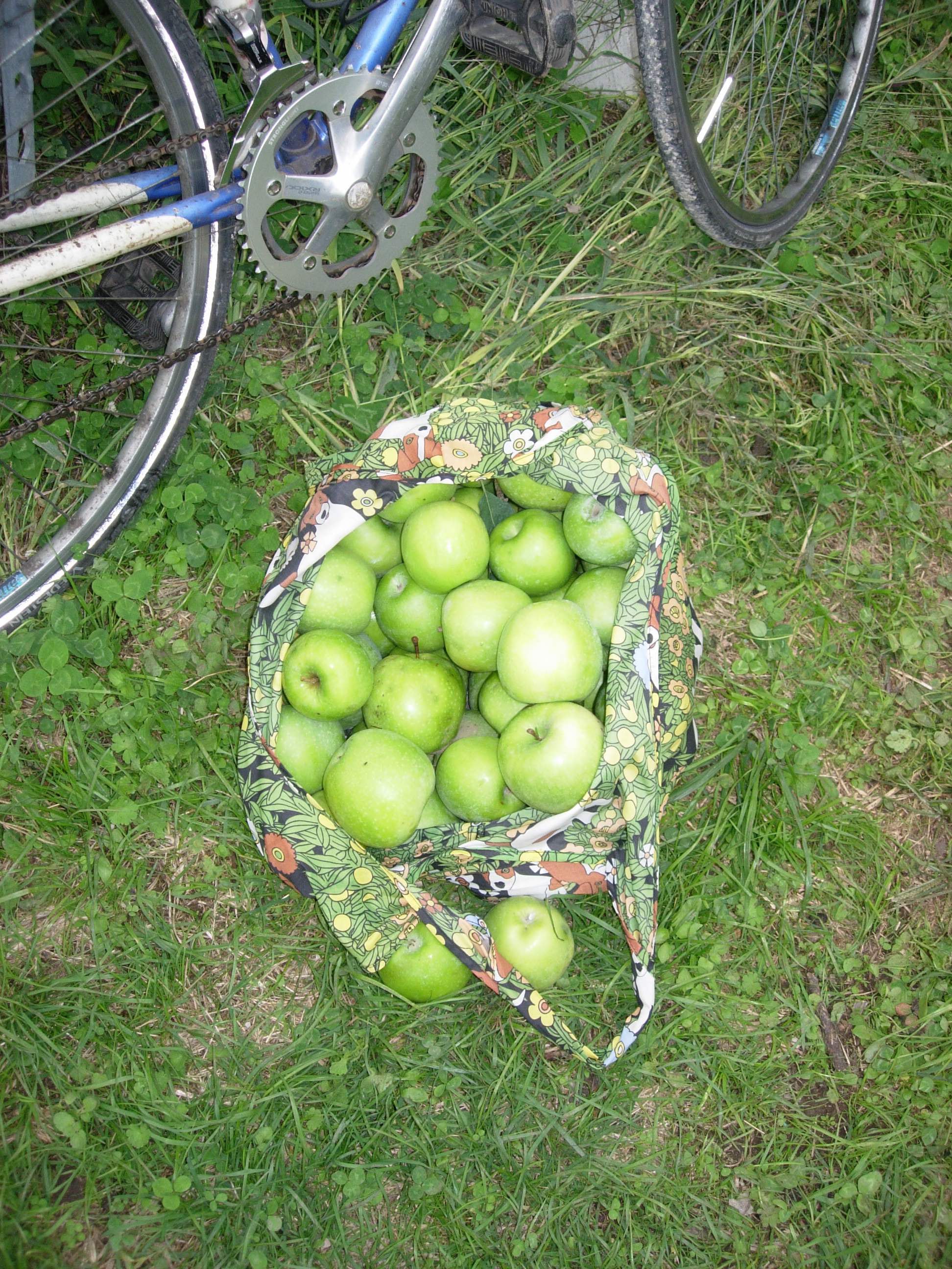 Meet Pick Cook, Cycle